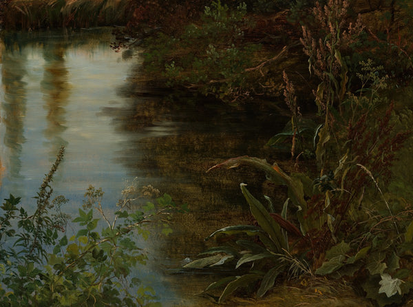 Study of Water and Plants 1837