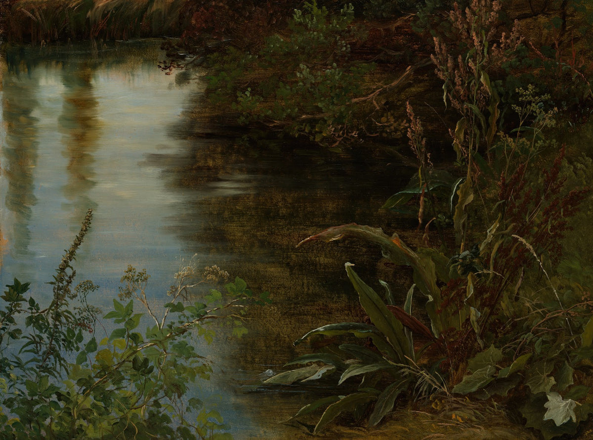 Study of Water and Plants 1837
