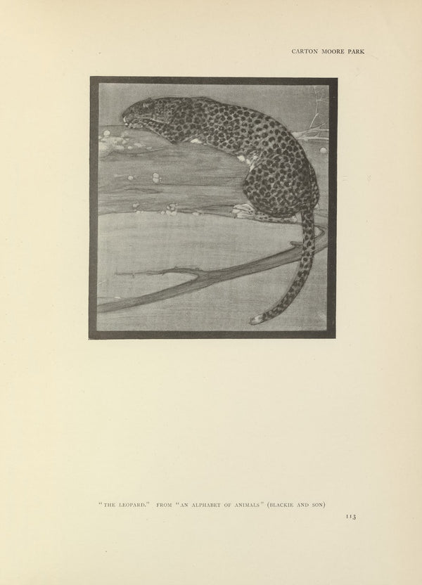 The leopard  an alphabet of animals 1914