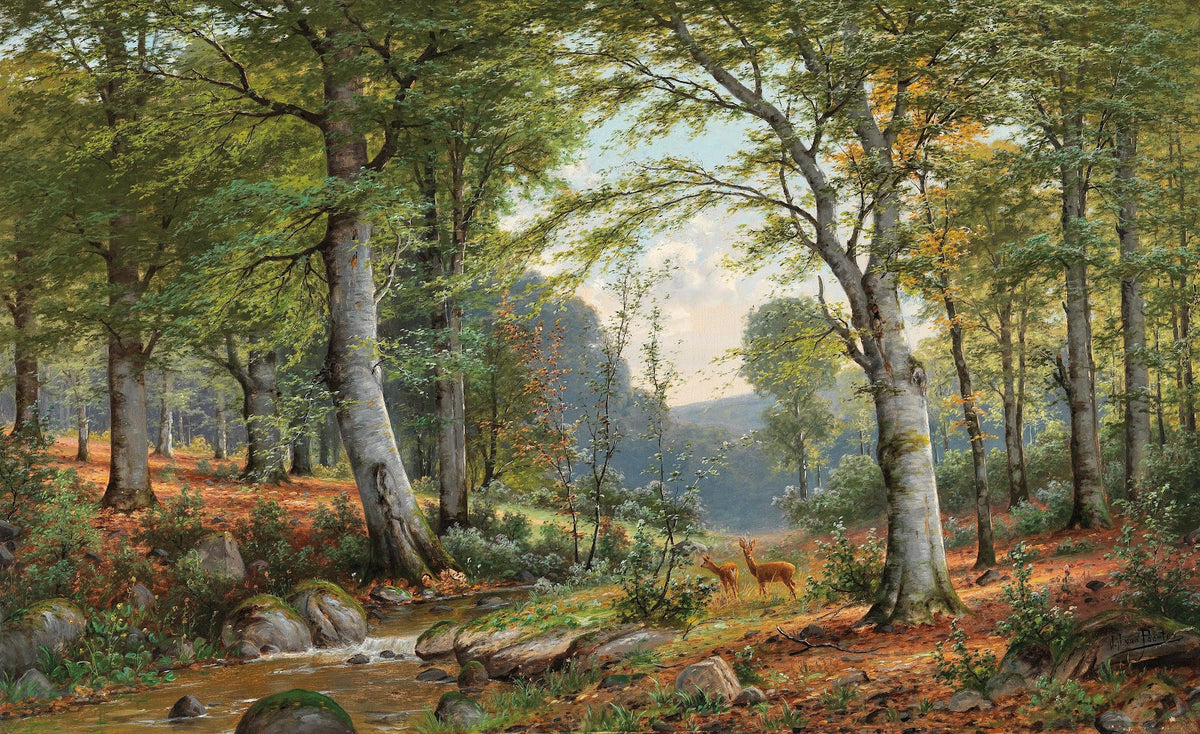 Roe Deer in an Idyllic Wooded Landscape