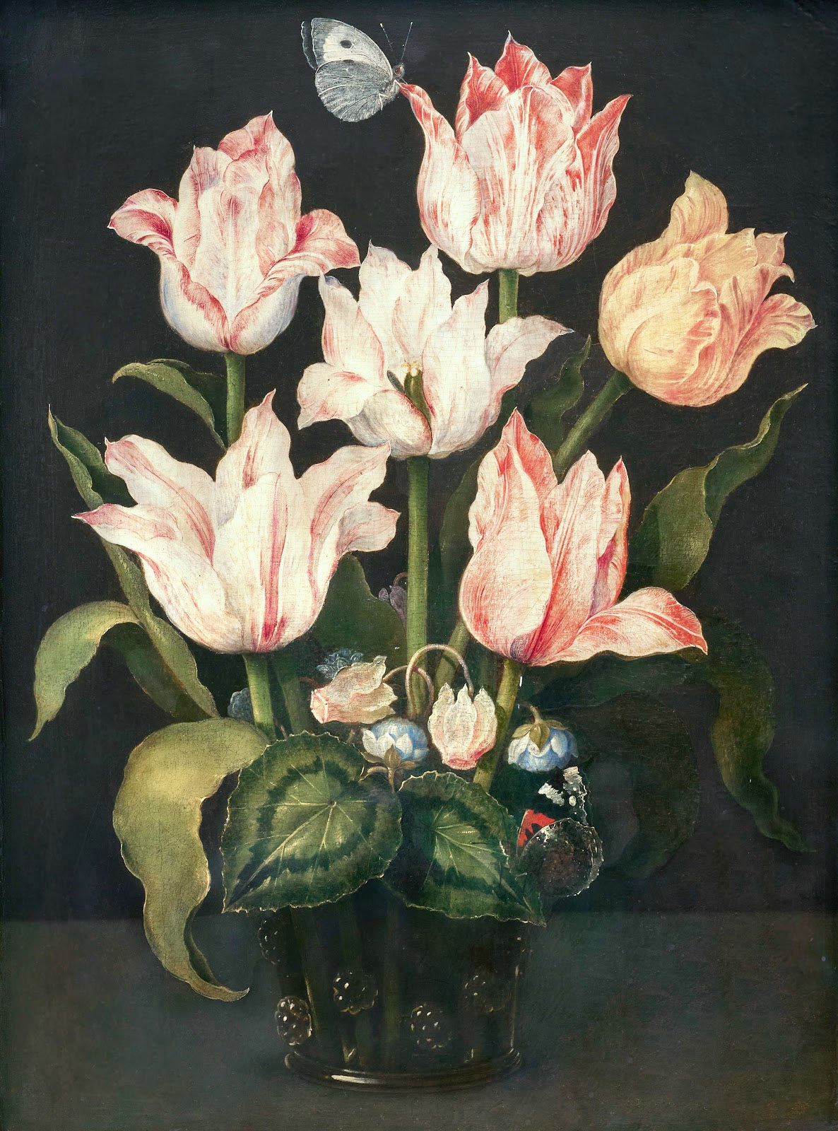 Still life with tulips in a glass vase with cyclamen and anemone