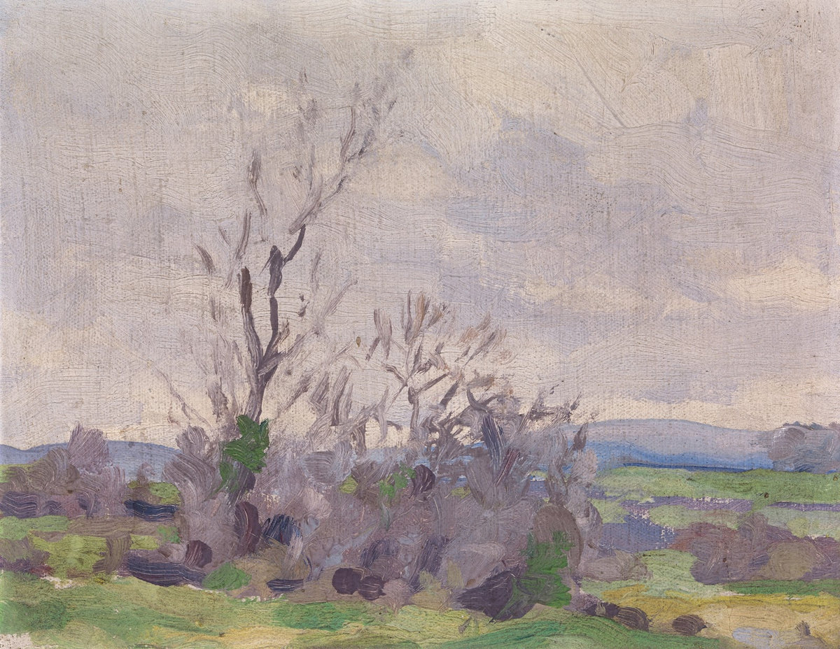 A Landscape
