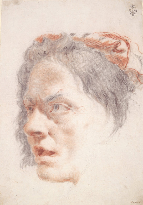 Head of aWoman ca1760