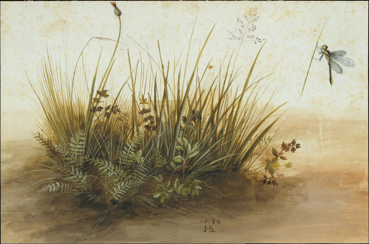 A Small Piece of Turf 1584