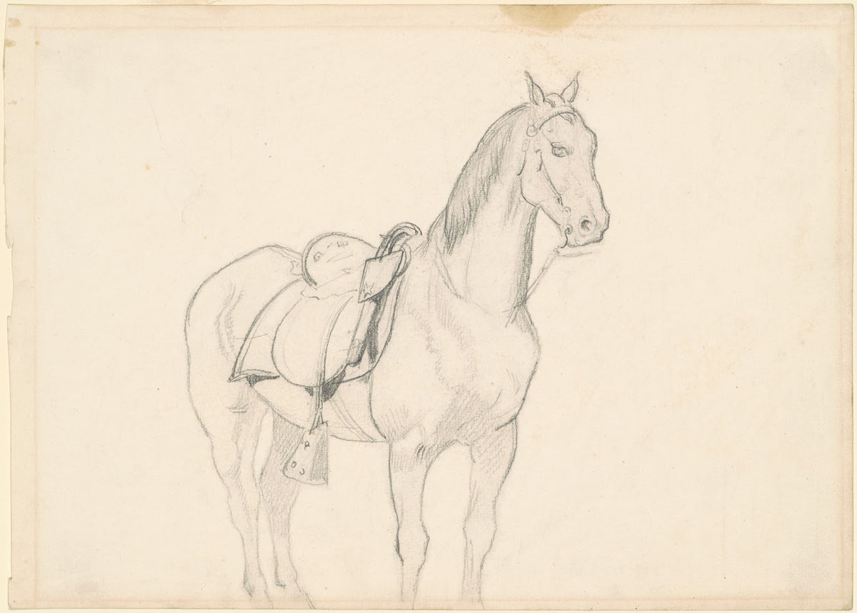 Horse c 1860s