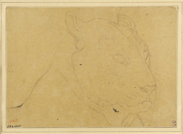Tête de tigre 19th century