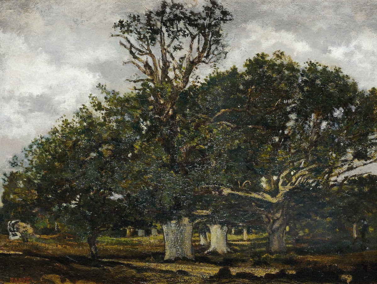 jean De Paris In Fontainebleau Forest