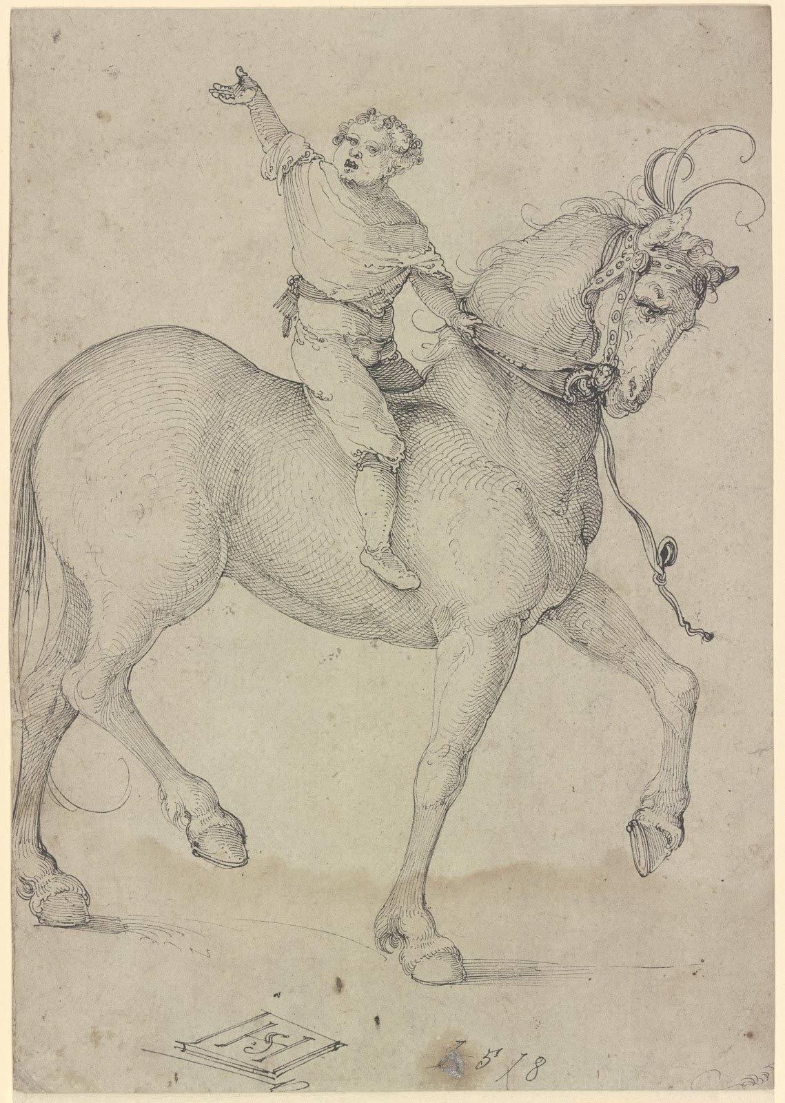 Boy on a high horse 1518