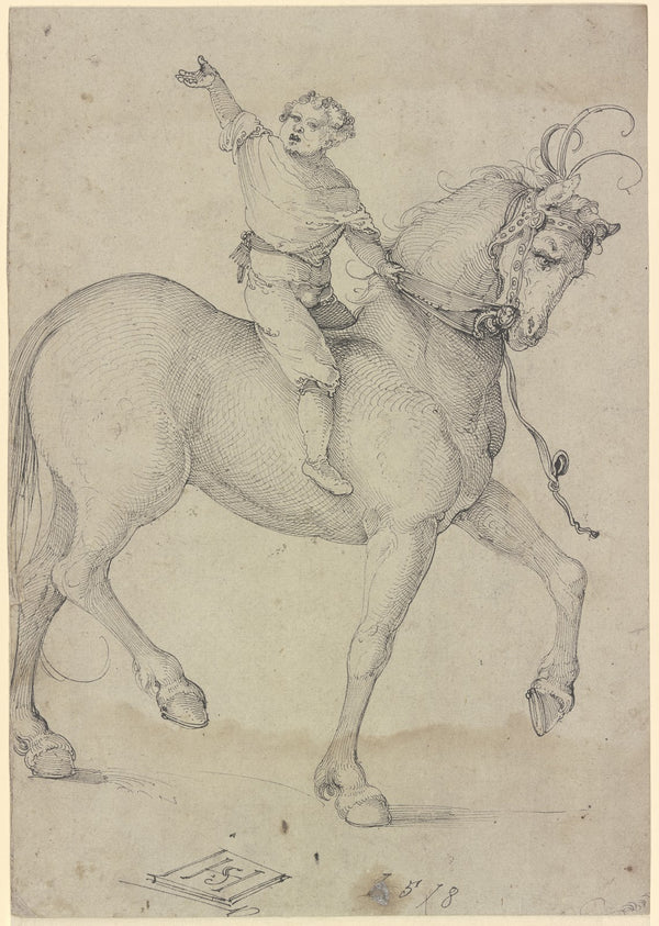 Boy on a high horse 1518