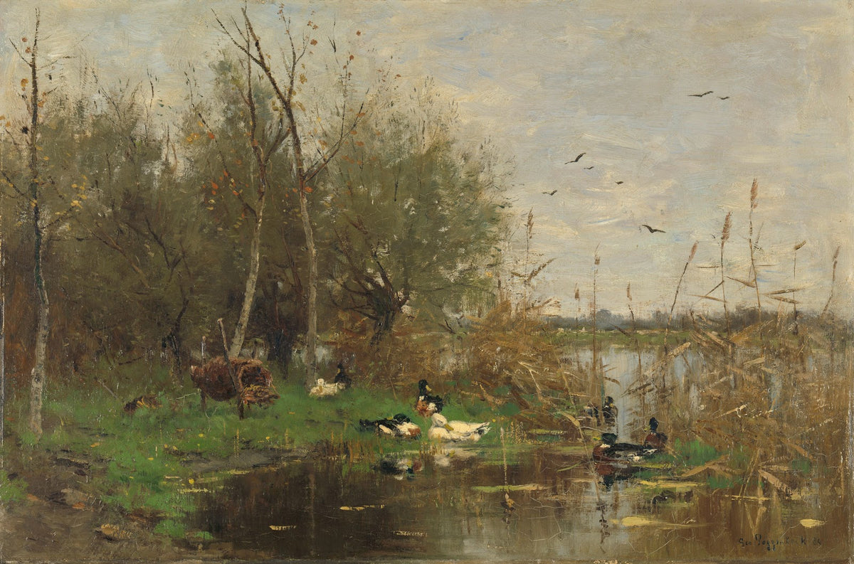 Ducks beside a duck shelter on a ditch 1884
