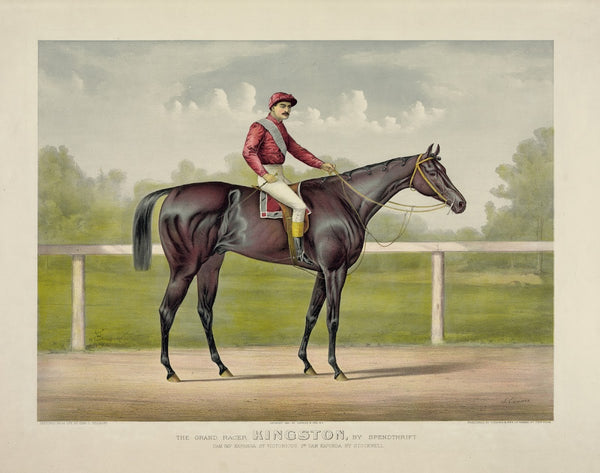 Grand racer Kingston by Spendthrift dam imp Kapanga by Victorious 2nd dam Kapund