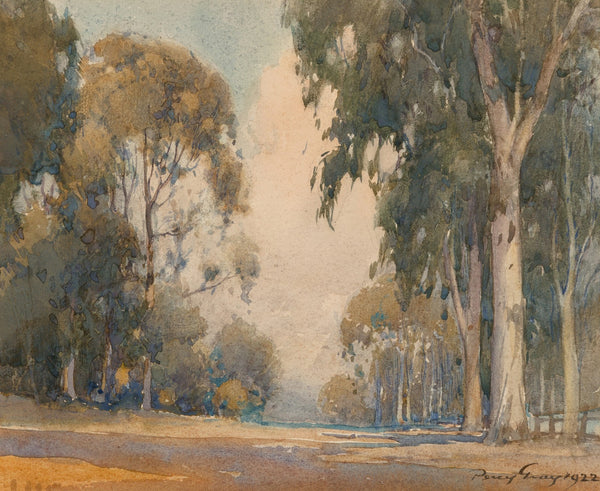 Eucalyptus 1922