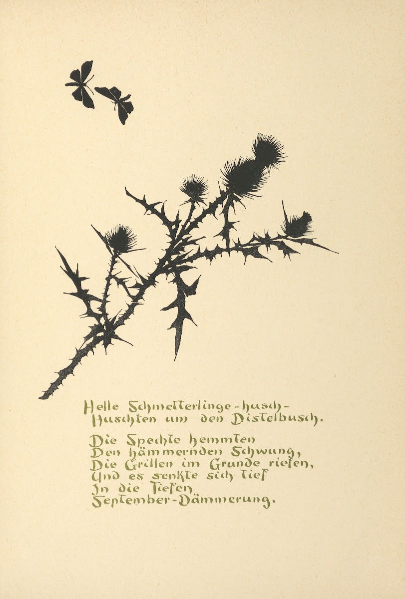 Wichtel Männchen Pl21 1938