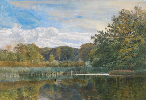 The Mill Pond Evelyn Woods 1860