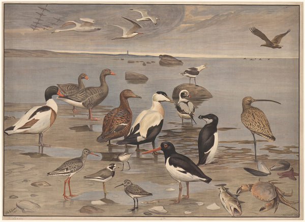 The beach 1903