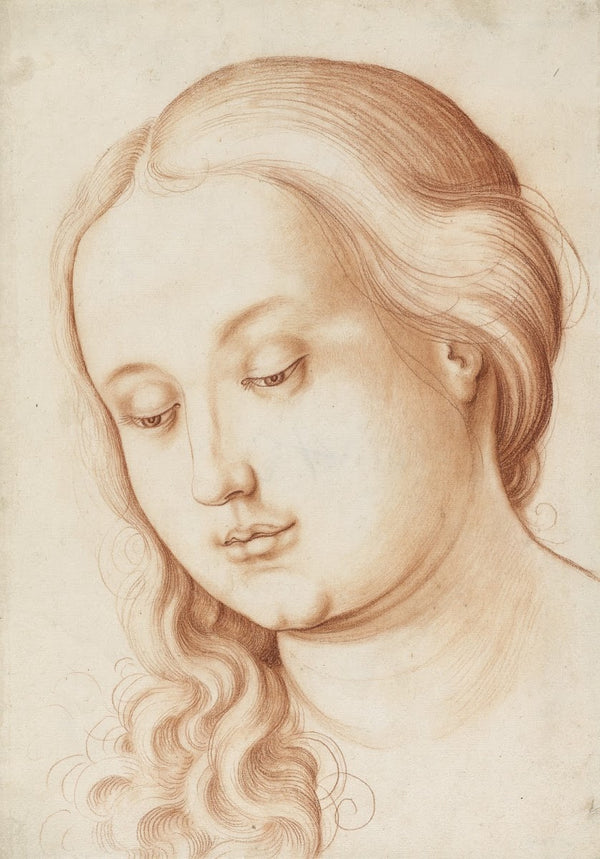 Kopf einer jungen Frau mit gesenktem Blick 1513 15