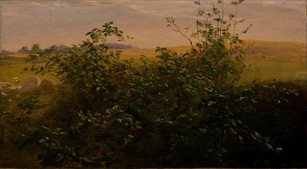 Hedge with blackberry 1846