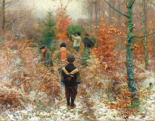 Juletræsfældning 1885