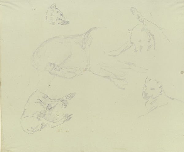 Lions and wolves ca 1831  1840