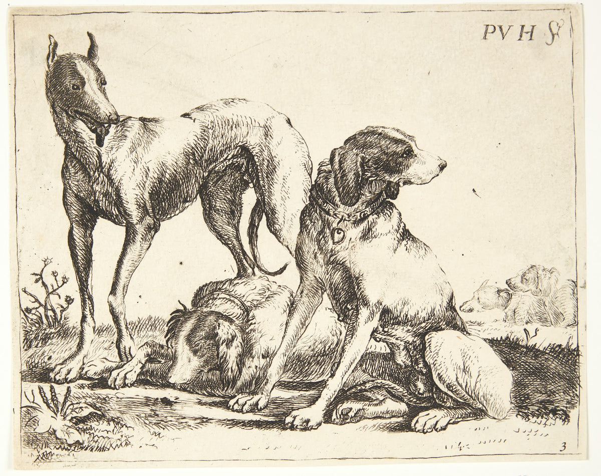 Tre hunde