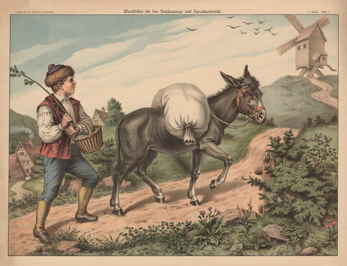 Donkey 1888