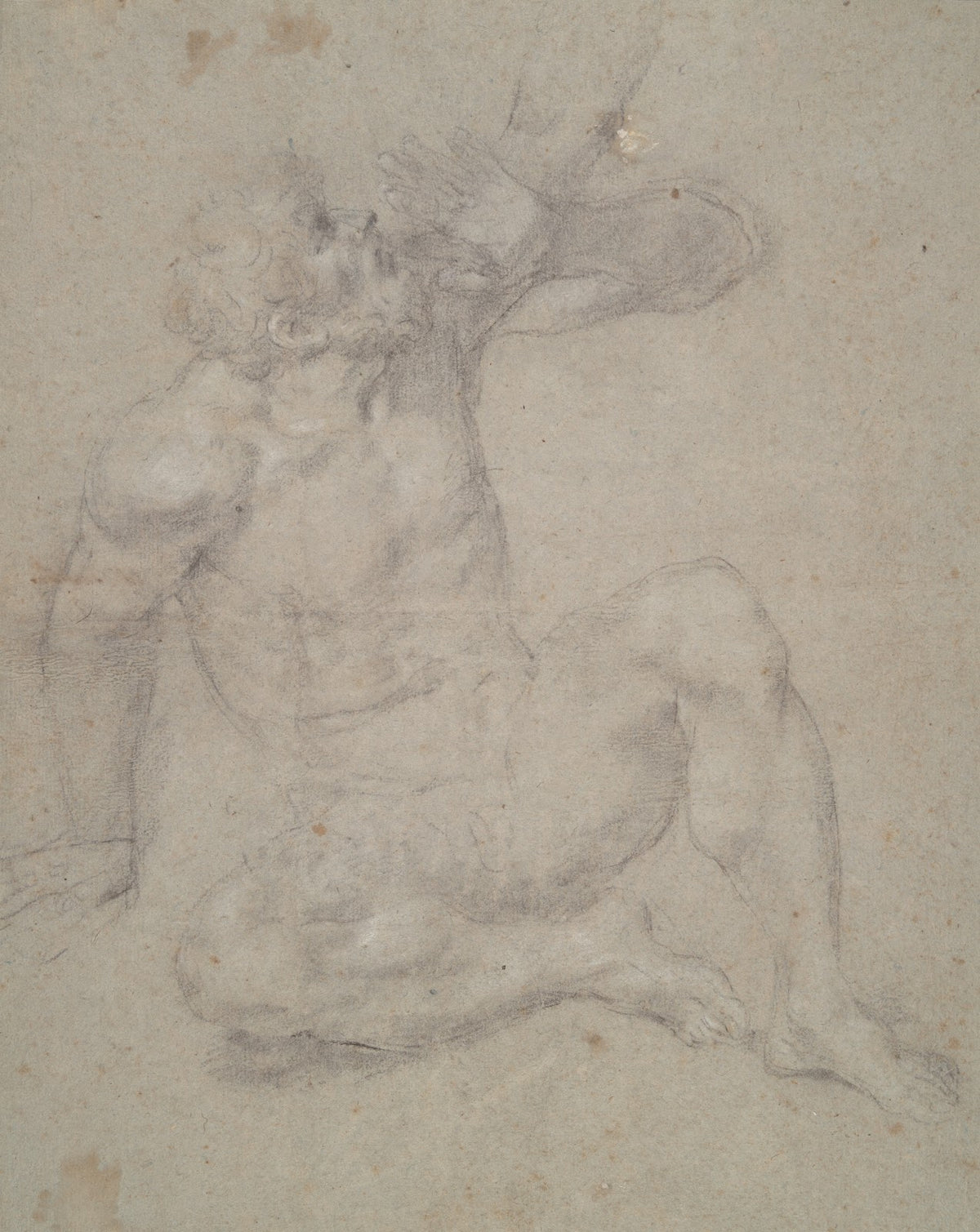 Study of a Seated OldMan