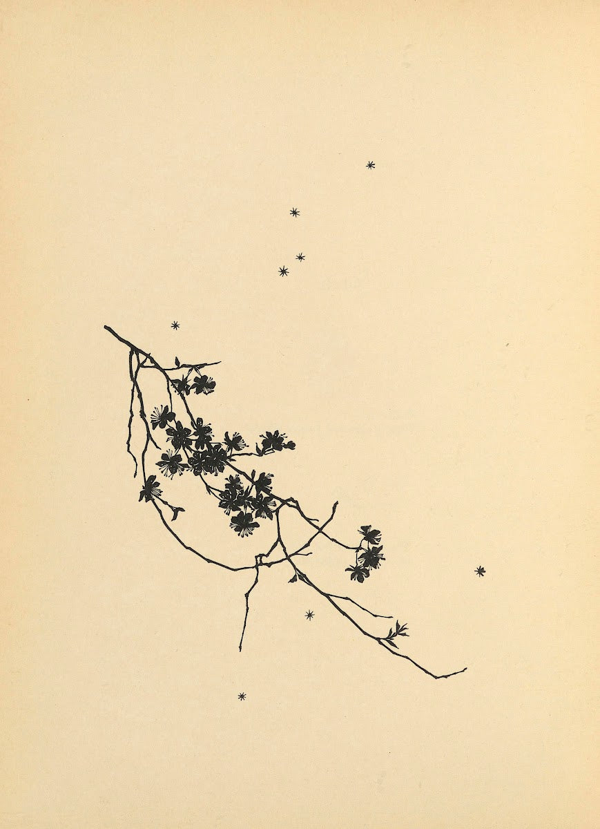 Sternlein Pl03 1930
