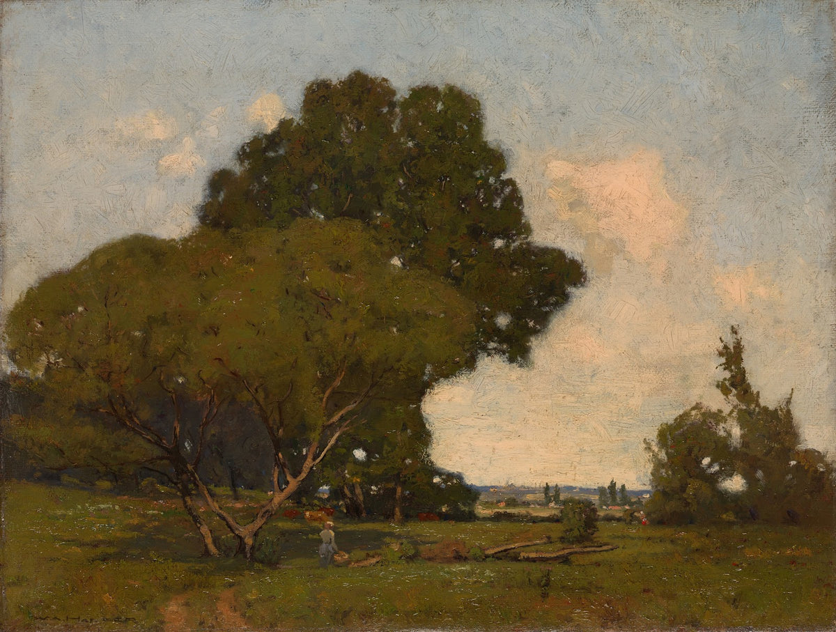 The Trees Early Afternoon France ca 1905