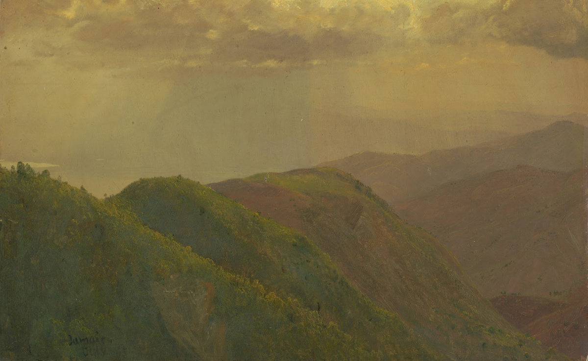 Landscape in Jamaica West Indies 1865