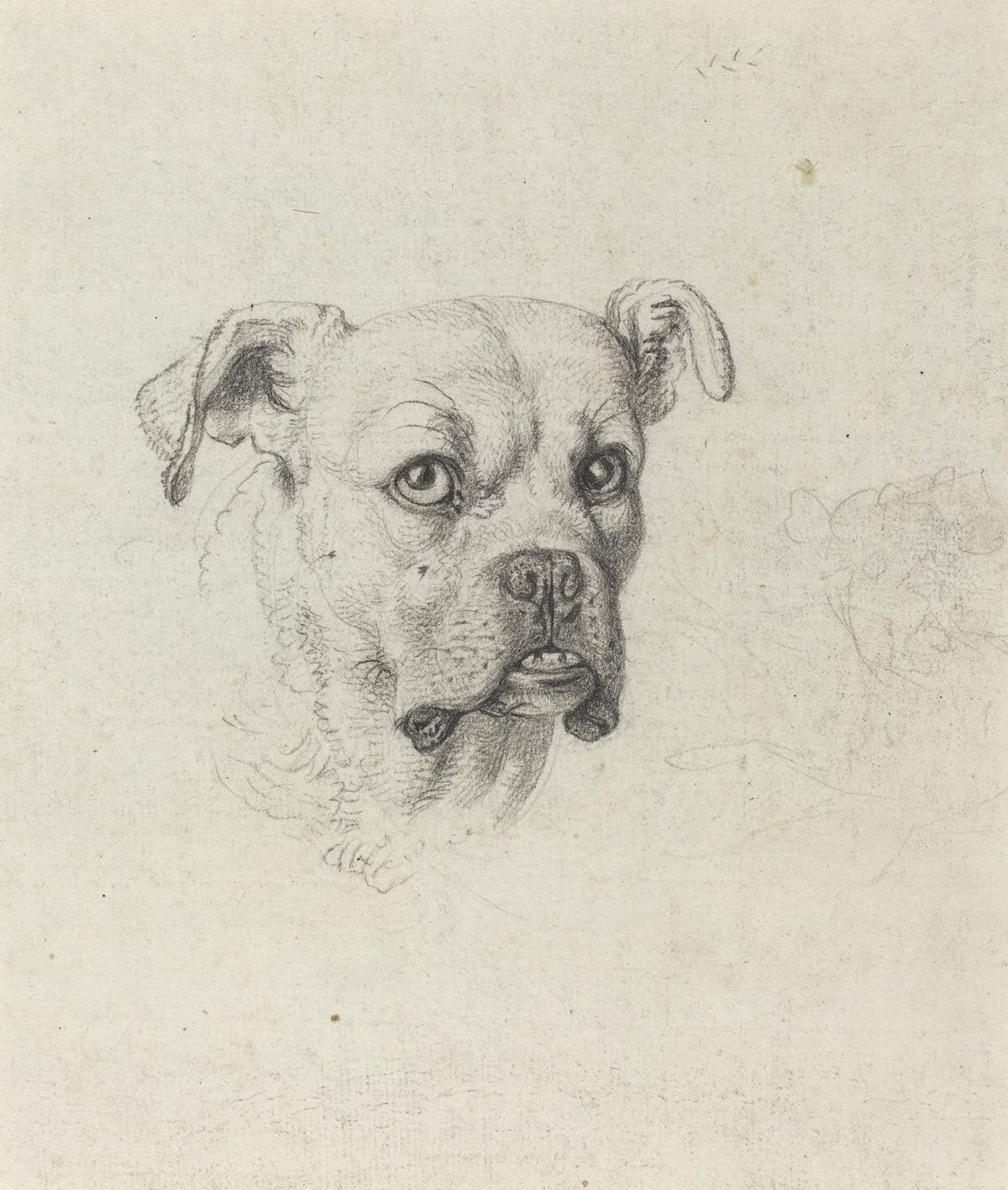 A Boxer c 1795
