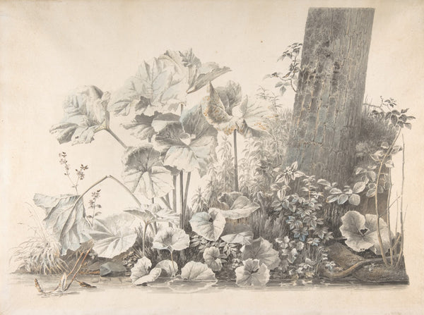 Burdocks Campions and Brambles by a Treetrunk on a River Bank early 19th century