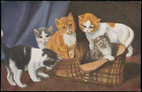 Kittens playing with a shoe 20th century