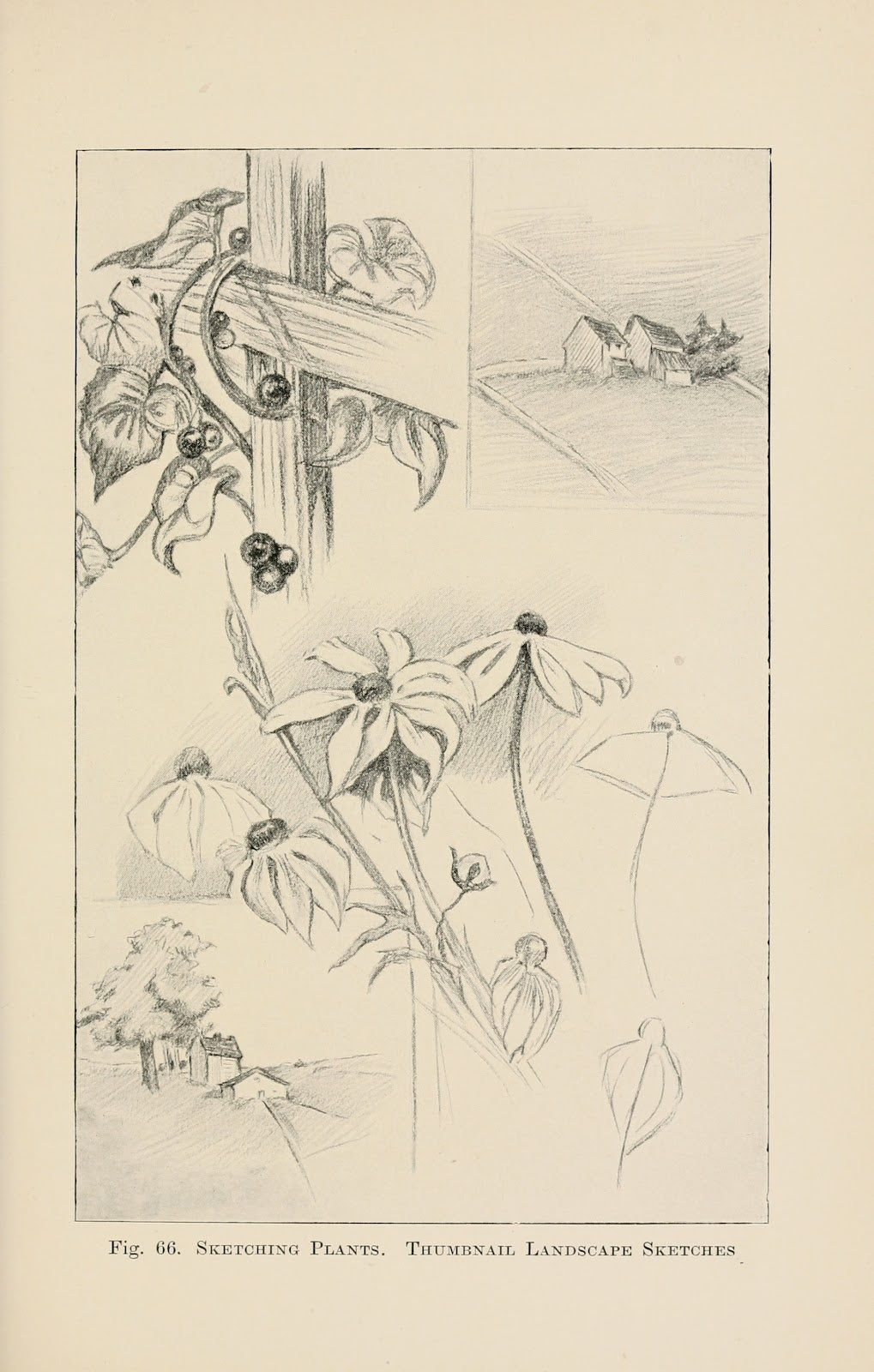 Drawing for beginners Pl29 1920s