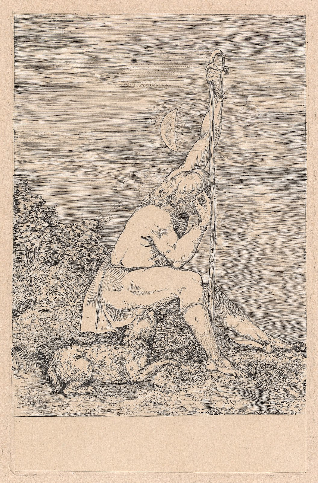 The Shepherd