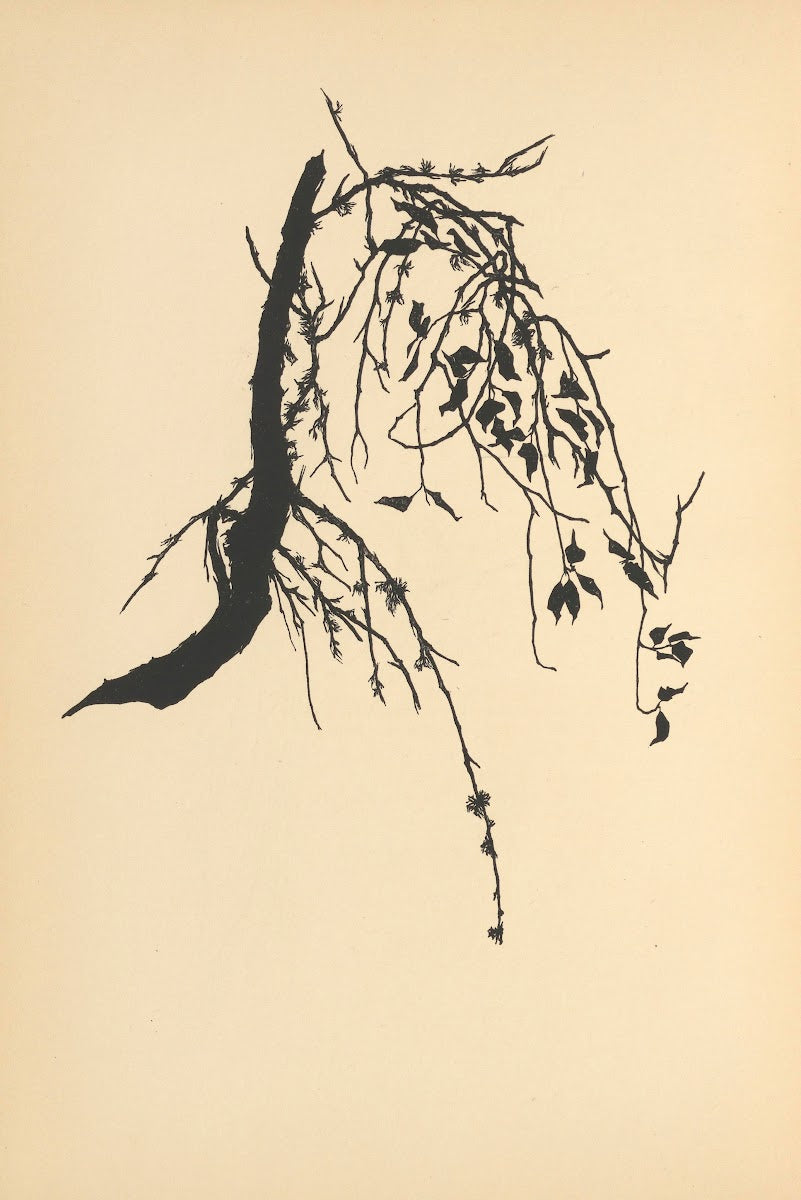 Vertrauen Pl35 1933