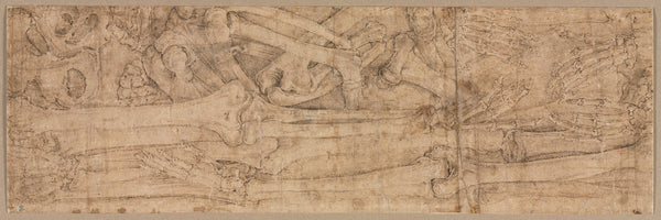 Arm Bones early 1540s