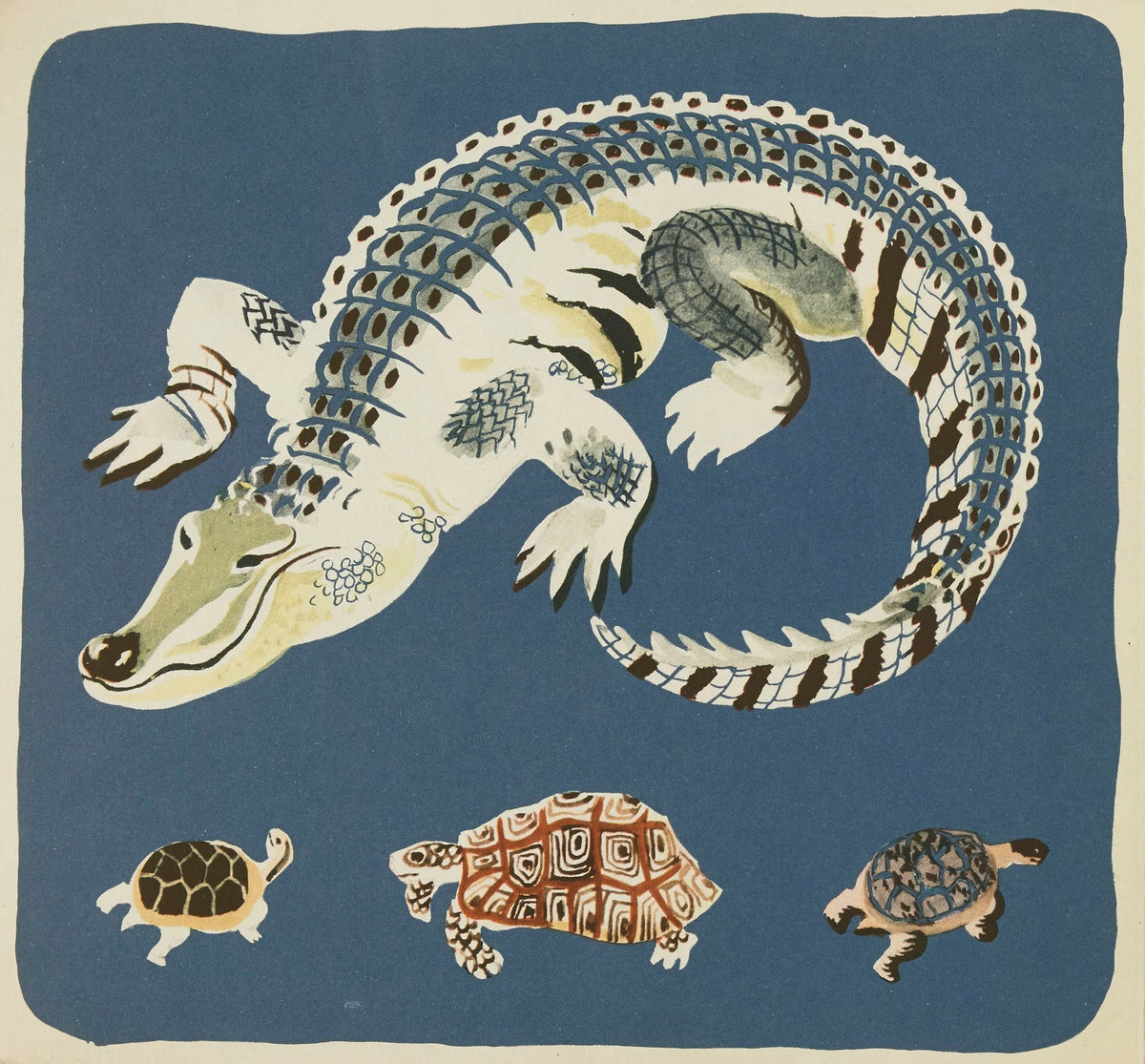 Nouvelles images à colorier Reptiles Pl14 1938