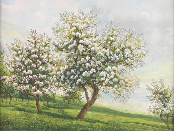 Blühende Obstbäume