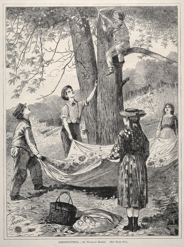 Chestnutting 1870
