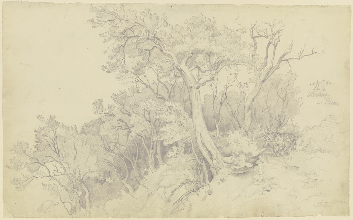 Edge of the forest near Olevano 1830