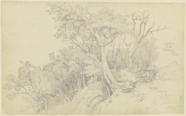 Edge of the forest near Olevano 1830