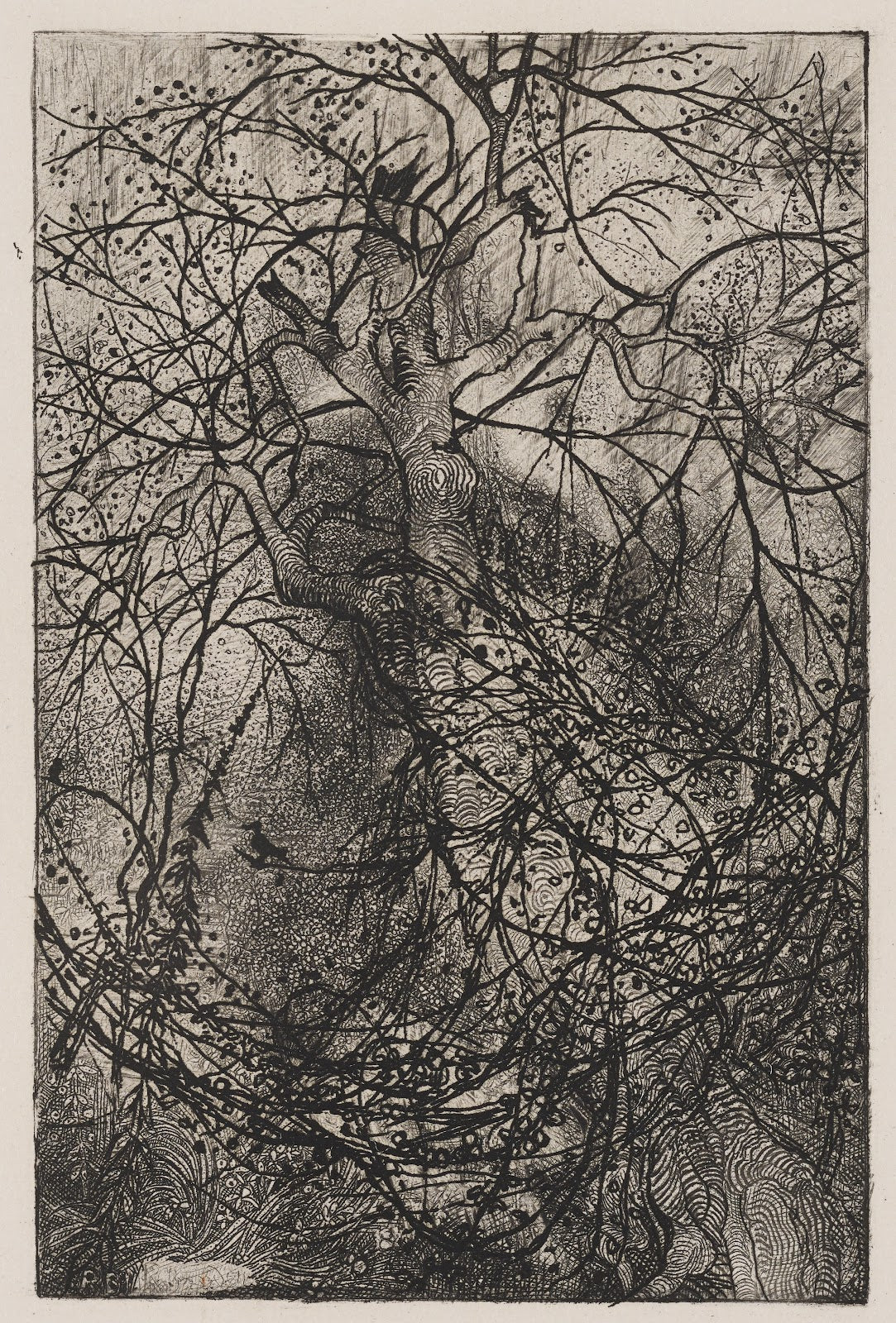 Branches c 1880