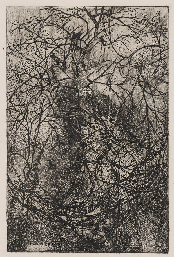 Branches c 1880