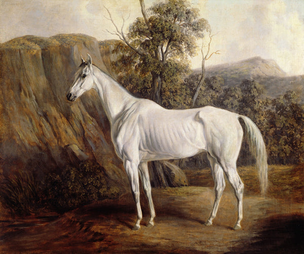 BOLIVIA 1836