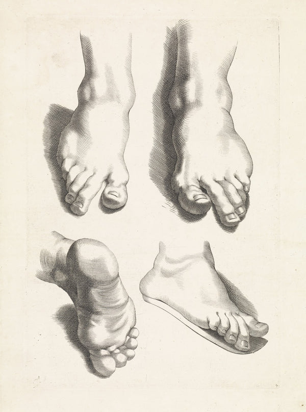 Studies of feet 1616   1657