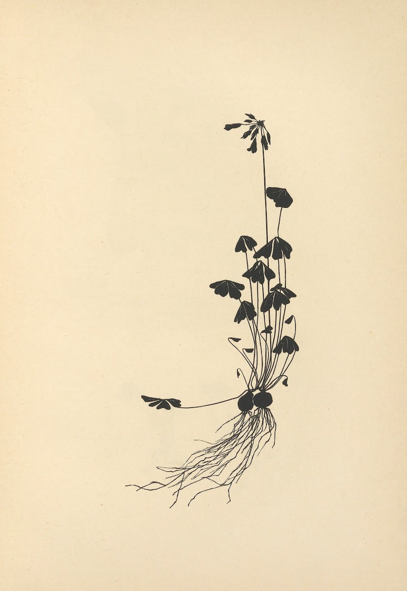 Vom Zufrieden Werden Pl33 1932