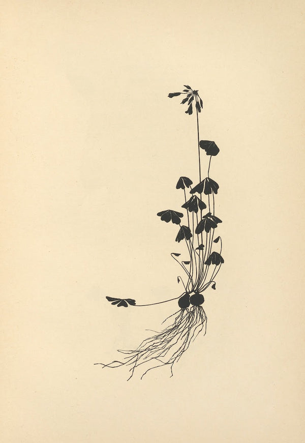 Vom Zufrieden Werden Pl33 1932
