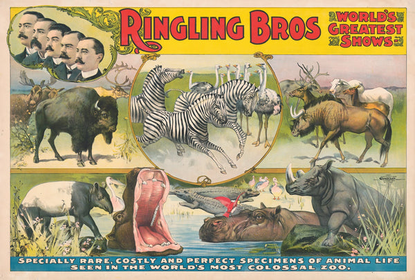 Ringling Bros worlds greatest shows  Specially rare costly and perfect specimens