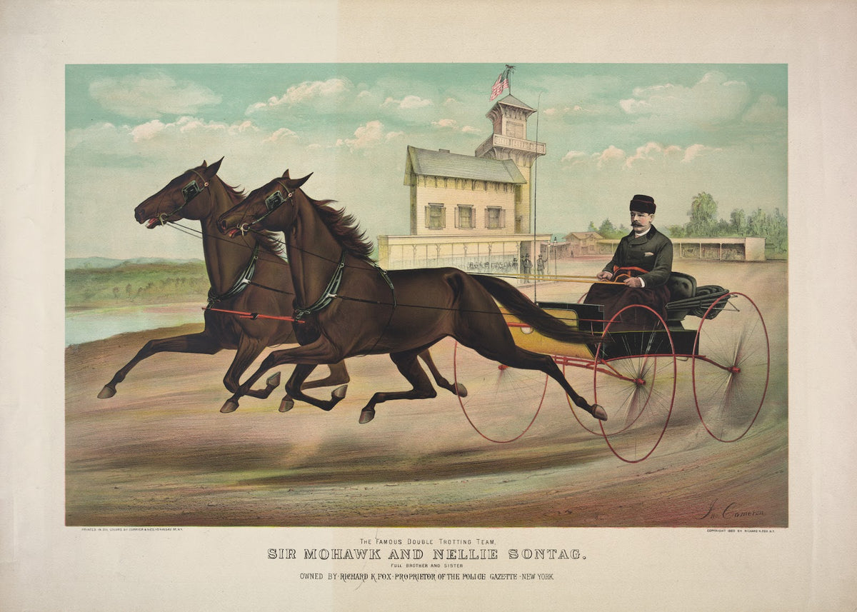 The famous double trotting team Sir Mohawk and Nellie Sontag full brother and si