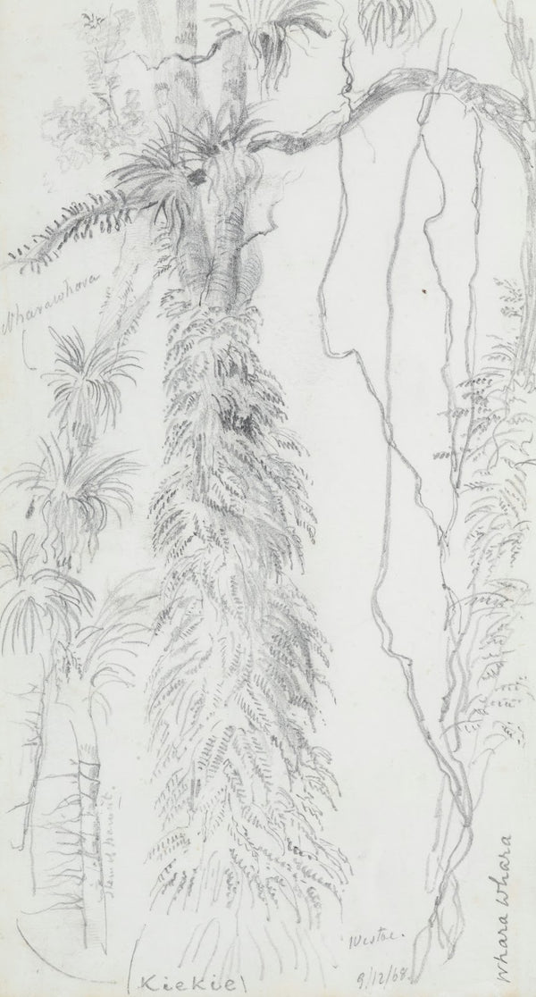 Kiekie and Wharawhara at Westoe 1868